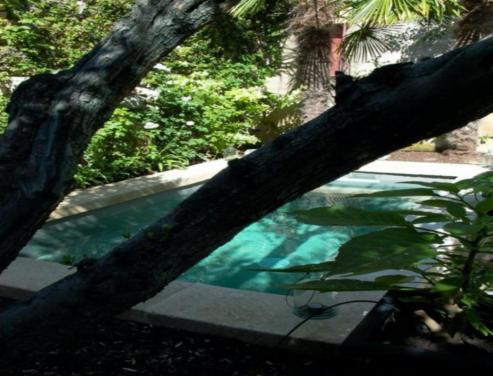 Monte Arena Bed & Breakfast Montaren-et-Saint-Mediers Bagian luar foto