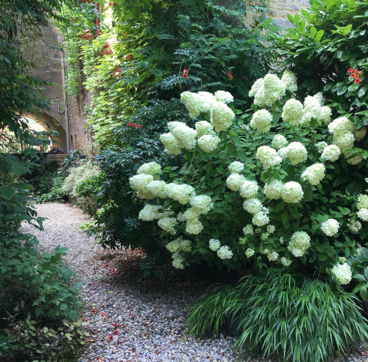 Monte Arena Bed & Breakfast Montaren-et-Saint-Mediers Bagian luar foto