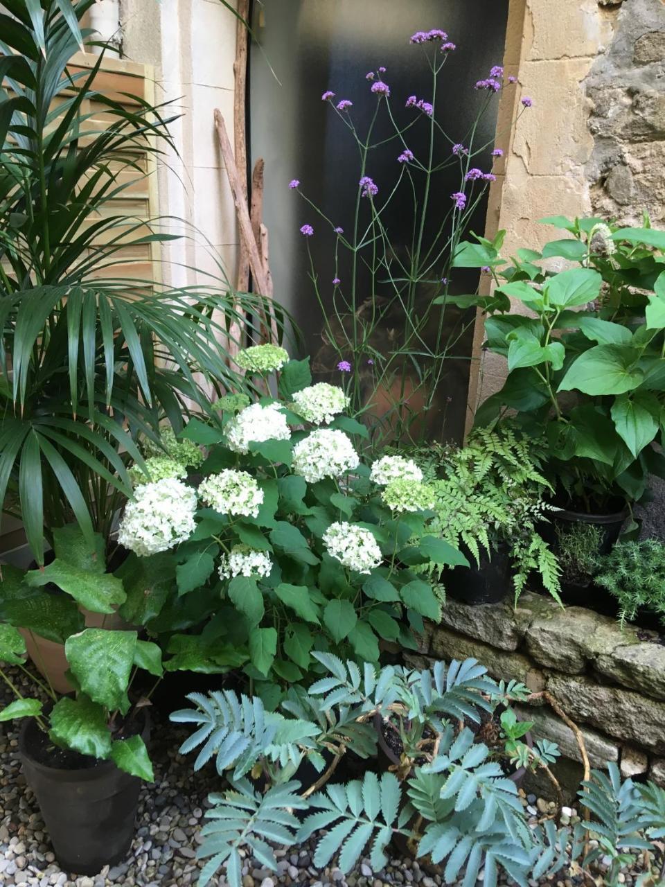 Monte Arena Bed & Breakfast Montaren-et-Saint-Mediers Bagian luar foto